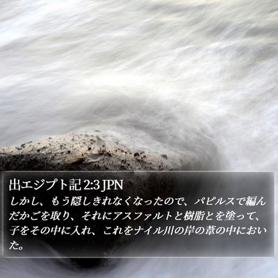 出エジプト記 2:3 JPN Bible Verse Image