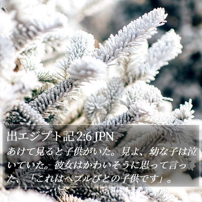 出エジプト記 2:6 JPN Bible Verse Image