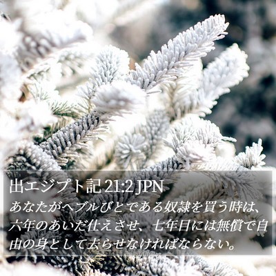 出エジプト記 21:2 JPN Bible Verse Image