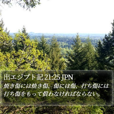 出エジプト記 21:25 JPN Bible Verse Image