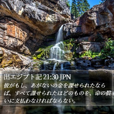 出エジプト記 21:30 JPN Bible Verse Image