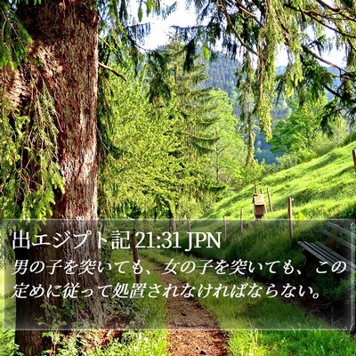 出エジプト記 21:31 JPN Bible Verse Image