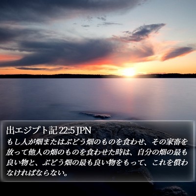 出エジプト記 22:5 JPN Bible Verse Image