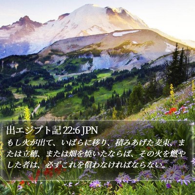 出エジプト記 22:6 JPN Bible Verse Image