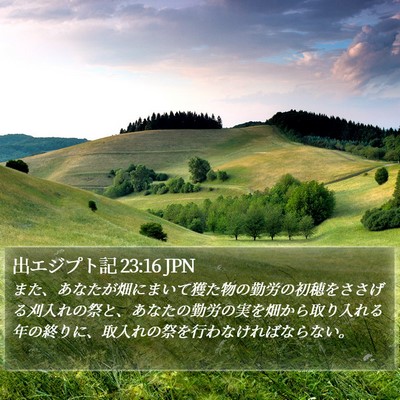 出エジプト記 23:16 JPN Bible Verse Image