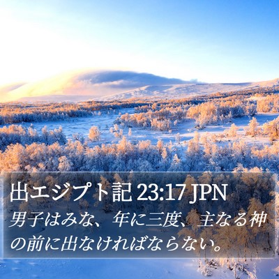 出エジプト記 23:17 JPN Bible Verse Image