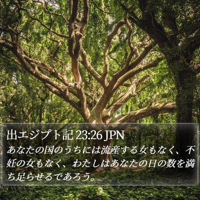 出エジプト記 23:26 JPN Bible Verse Image