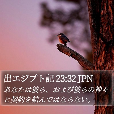 出エジプト記 23:32 JPN Bible Verse Image