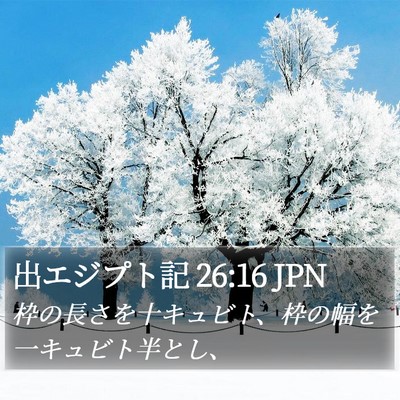 出エジプト記 26:16 JPN Bible Verse Image