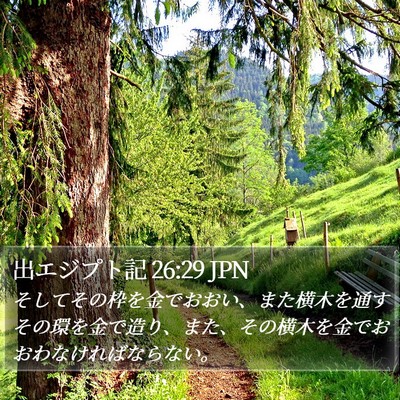 出エジプト記 26:29 JPN Bible Verse Image