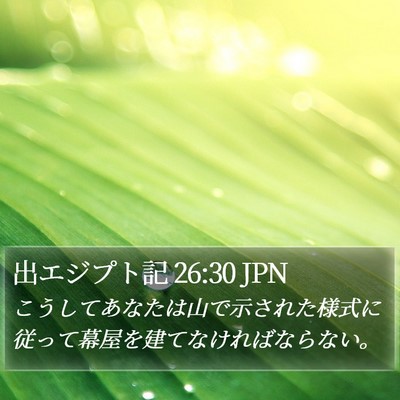 出エジプト記 26:30 JPN Bible Verse Image