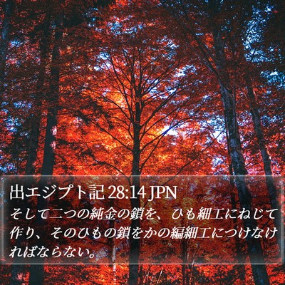 出エジプト記 28:14 JPN Bible Verse Image