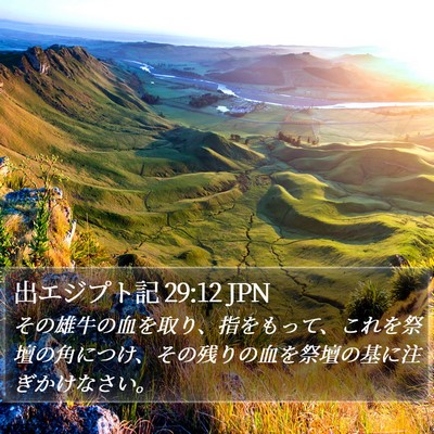 出エジプト記 29:12 JPN Bible Verse Image