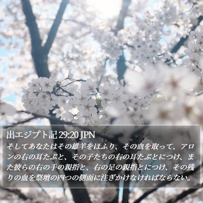 出エジプト記 29:20 JPN Bible Verse Image