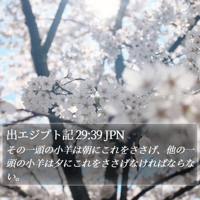 出エジプト記 29:39 JPN Bible Verse Image
