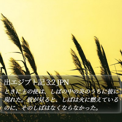 出エジプト記 3:2 JPN Bible Verse Image