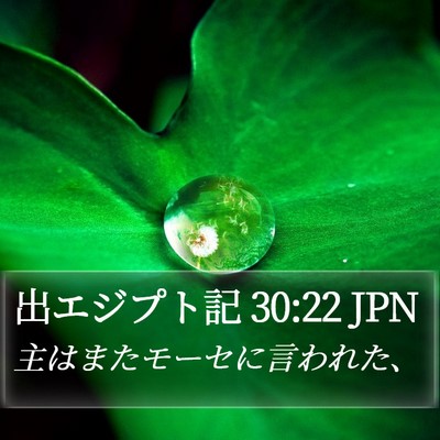 出エジプト記 30:22 JPN Bible Verse Image