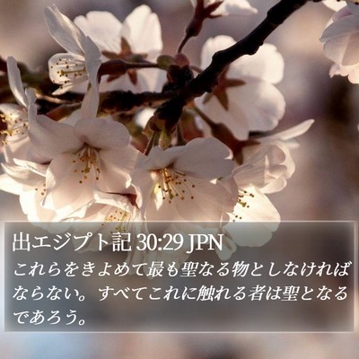 出エジプト記 30:29 JPN Bible Verse Image