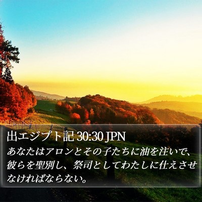 出エジプト記 30:30 JPN Bible Verse Image