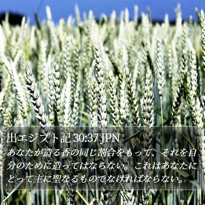 出エジプト記 30:37 JPN Bible Verse Image