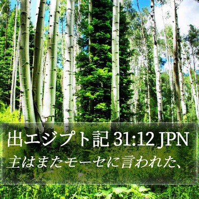 出エジプト記 31:12 JPN Bible Verse Image