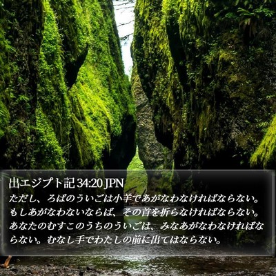 出エジプト記 34:20 JPN Bible Verse Image