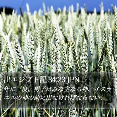 出エジプト記 34:23 JPN Bible Verse Image