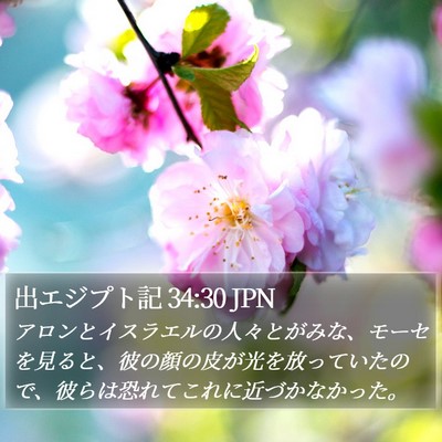 出エジプト記 34:30 JPN Bible Verse Image