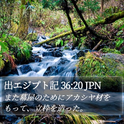 出エジプト記 36:20 JPN Bible Verse Image