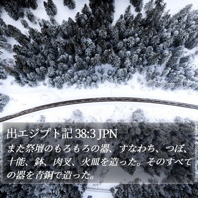 出エジプト記 38:3 JPN Bible Verse Image