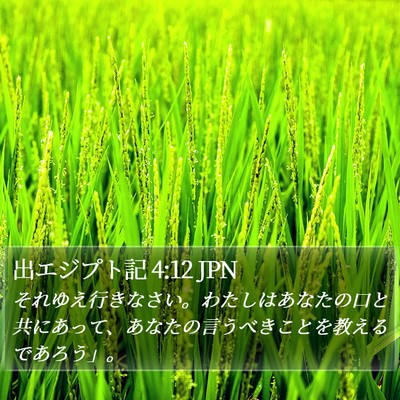 出エジプト記 4:12 JPN Bible Verse Image