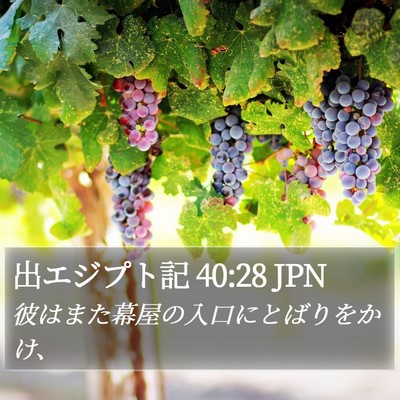 出エジプト記 40:28 JPN Bible Verse Image
