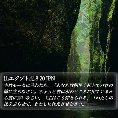 出エジプト記 8:20 JPN Bible Verse Image