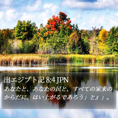 出エジプト記 8:4 JPN Bible Verse Image