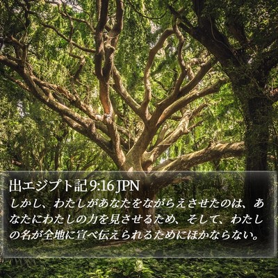 出エジプト記 9:16 JPN Bible Verse Image