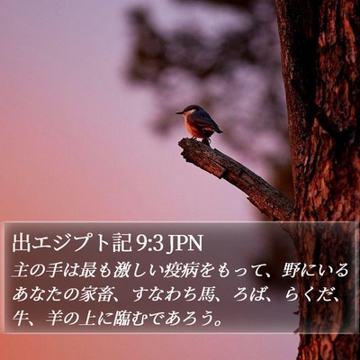 出エジプト記 9:3 JPN Bible Verse Image