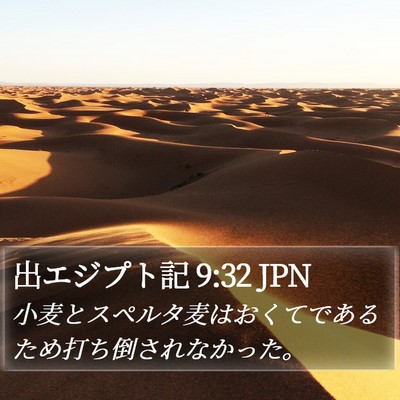 出エジプト記 9:32 JPN Bible Verse Image