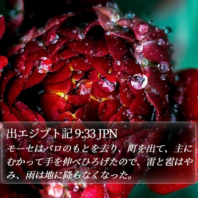 出エジプト記 9:33 JPN Bible Verse Image