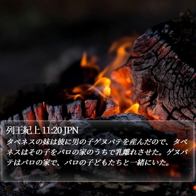 列王紀上 11:20 JPN Bible Verse Image