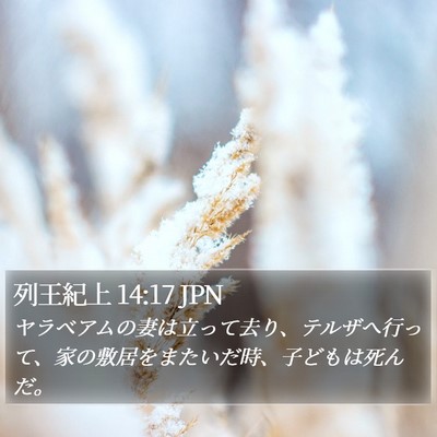 列王紀上 14:17 JPN Bible Verse Image