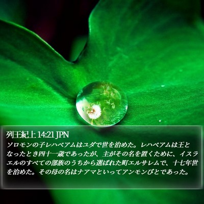 列王紀上 14:21 JPN Bible Verse Image
