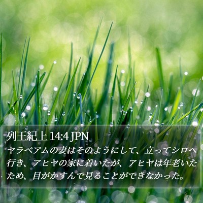列王紀上 14:4 JPN Bible Verse Image