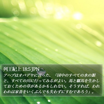 列王紀上 18:5 JPN Bible Verse Image