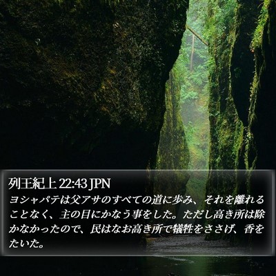 列王紀上 22:43 JPN Bible Verse Image