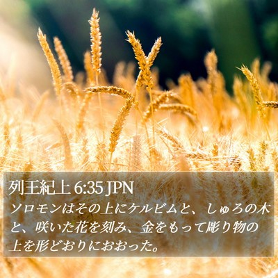 列王紀上 6:35 JPN Bible Verse Image