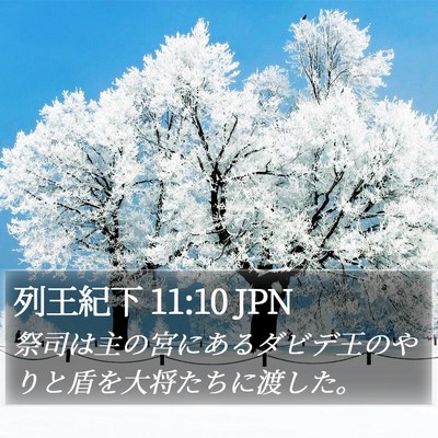 列王紀下 11:10 JPN Bible Verse Image