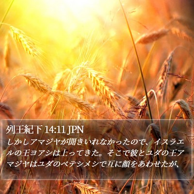 列王紀下 14:11 JPN Bible Verse Image