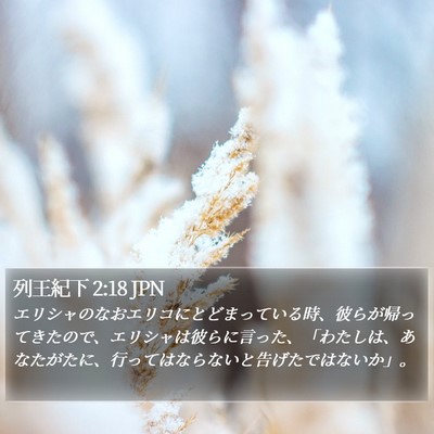 列王紀下 2:18 JPN Bible Verse Image