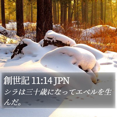 創世記 11:14 JPN Bible Verse Image