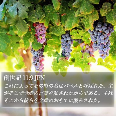 創世記 11:9 JPN Bible Verse Image